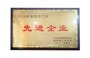 Advanced Enterprise in Economic Work in 2010
