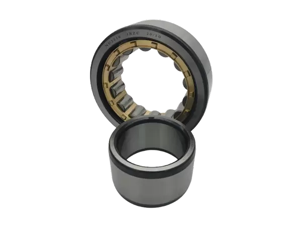 Cylindrical Roller Bearings Double Row,With Cage