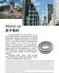 JRZC-Self-aligning roller + outer spherical surface - end