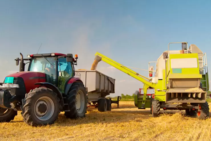 Agriculture