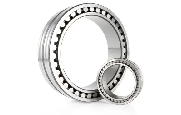 Double Row Cylindrical Roller Bearings with Cage